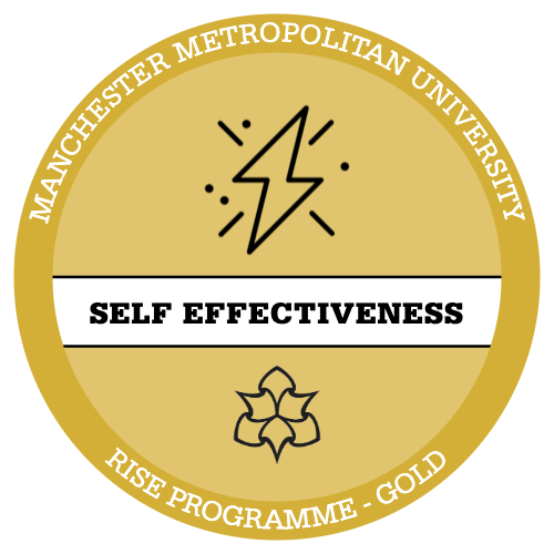 Self Effectiveness